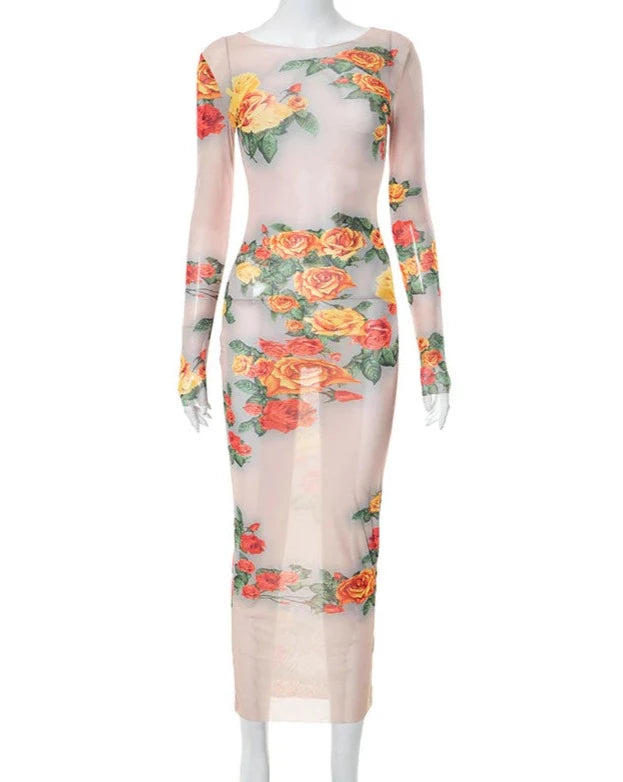 Enchanting Sheer Floral Dress