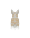 The Birthday Suit Dress